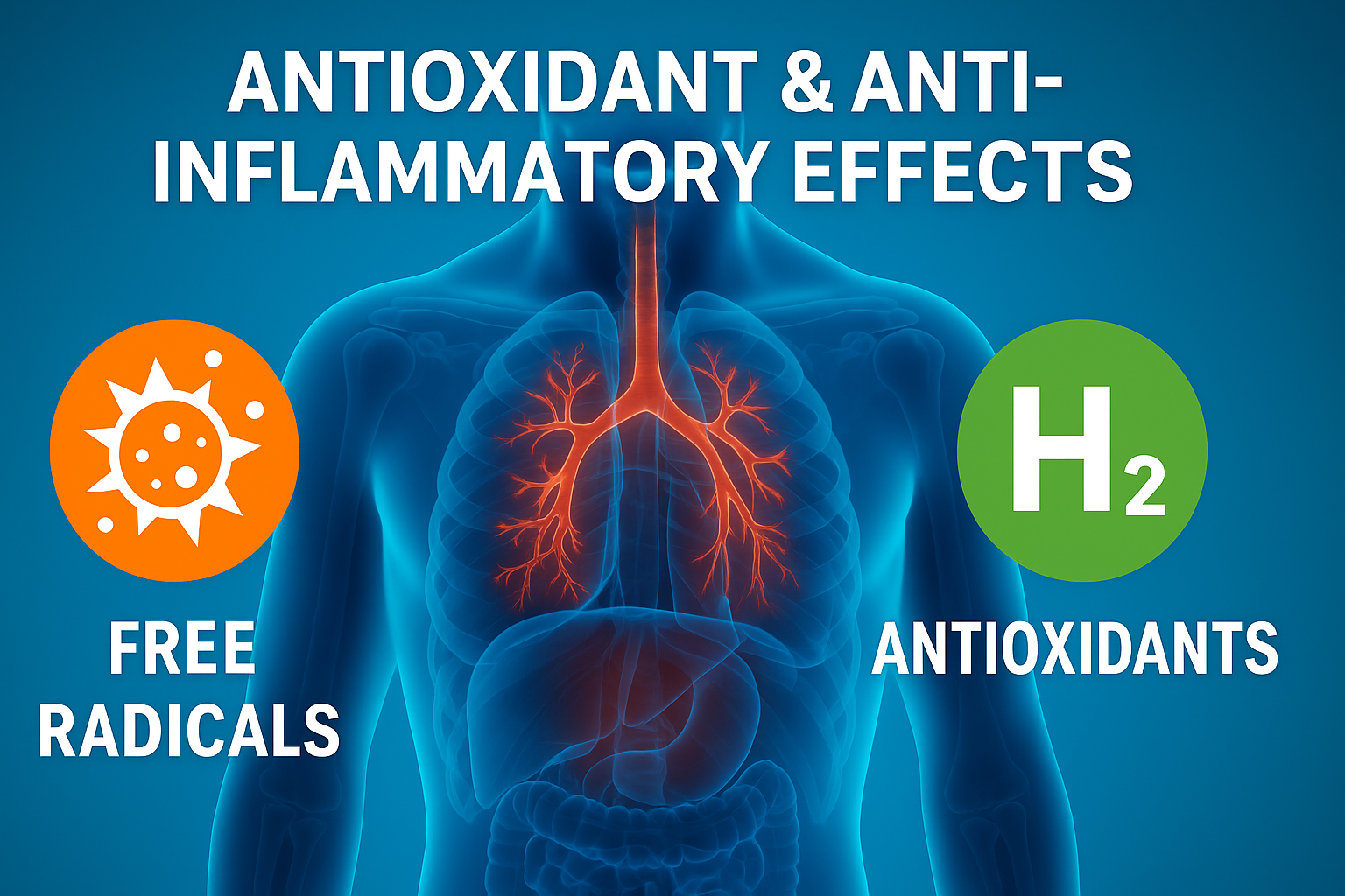 Digital image of a human torso with highlighted cardiovascular system, depicting free radicals and hydrogen antioxidants on a blue background.